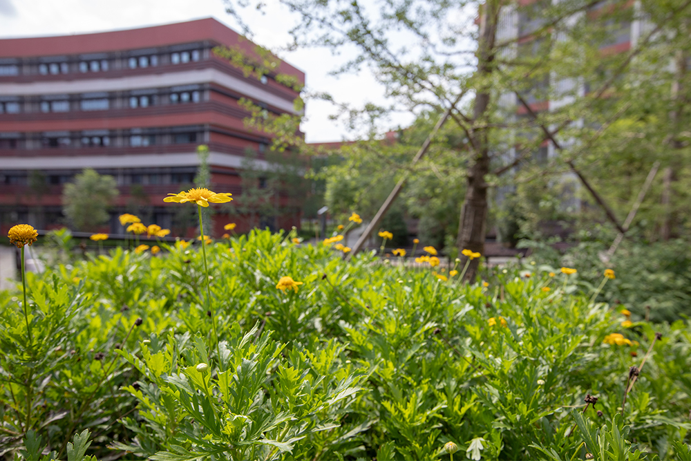 �ɶ�����ЌW(xu��)