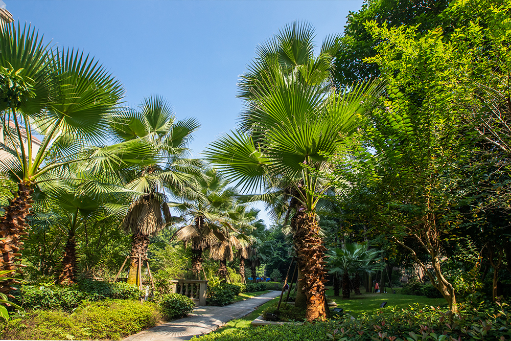 �{(l��n)�I��